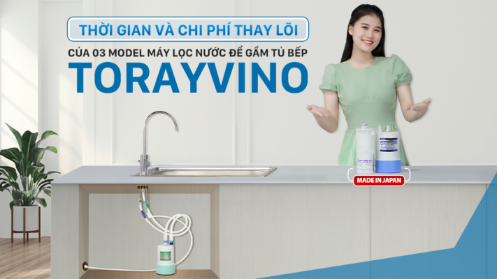 thumbnail-tho-i-gian-va-chi-phi-thay-lo-i-cu-a-03-model-torayvino