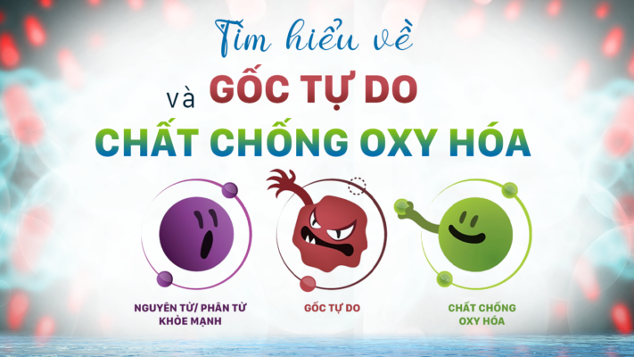 ti-m-hie-u-ve-go-c-tu-do-va-cha-t-cho-ng-oxy-ho-a